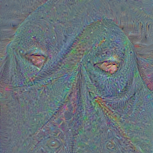 n02667093
